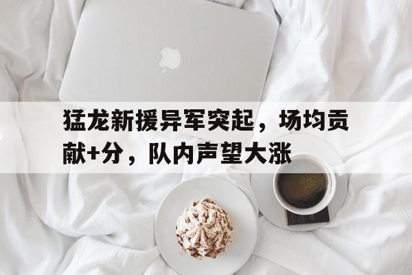 猛龙新援异军突起，场均贡献+分，队内声望大涨的简单介绍